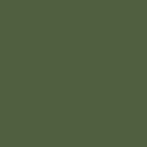 Plain Cactus Green #515F41 Solid Fabric
