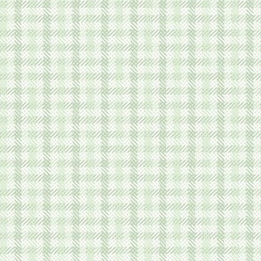 Texture _ pale olive green