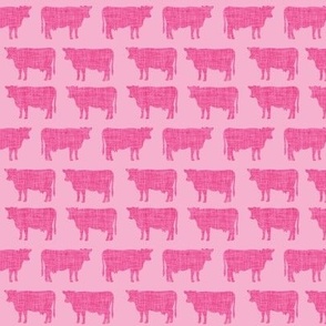 small fairy floss + neon pink cows