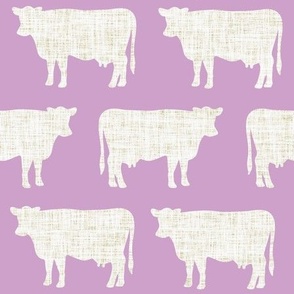 lilac + latte cows