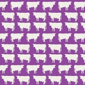 small purple + latte cows