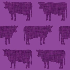 purple + purple cows