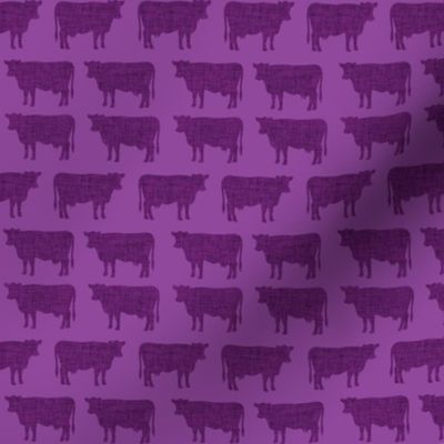 small purple + purple cows