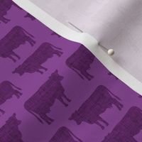 small purple + purple cows