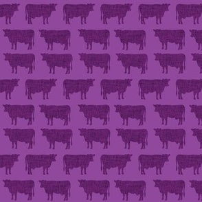 small purple + purple cows