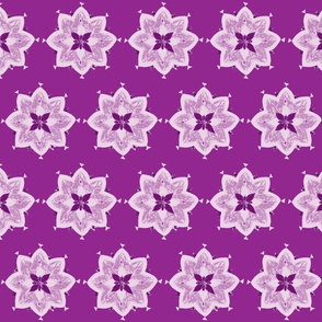 purple pointy flower