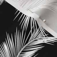White Palm Fronds on Black Background [Large}