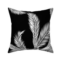 White Palm Fronds on Black Background [Large}