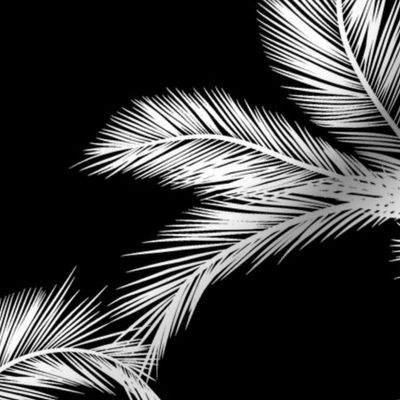 White Palm Fronds on Black Background [Large}