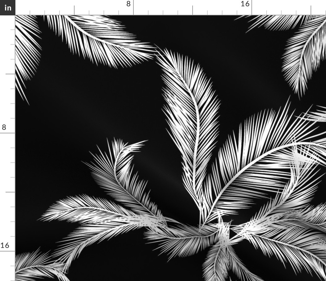 White Palm Fronds on Black Background [Large}