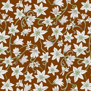 Star flowers ditsy - neutral rust (mini)