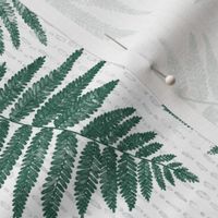 Scattered Ferns of the Pacific Northwest in Forest Green with Light Grey Lines on white