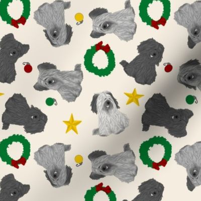 Tiny assorted Skye Terriers - Christmas