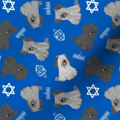 Tiny assorted Skye Terriers - Hanukkah