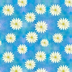 Daisies on a sky background
