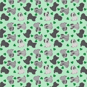 Tiny assorted Skye Terriers - shamrocks