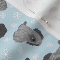 Tiny assorted Skye Terriers - winter snowflakes