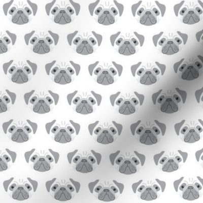 tiny pugs grey and white