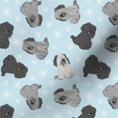 Tiny drop ear Skye Terriers - winter snowflakes