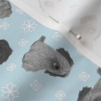 Tiny drop ear Skye Terriers - winter snowflakes