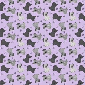 Tiny Skye Terriers - purple