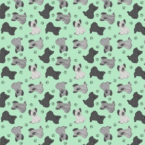 Tiny Skye Terriers - green
