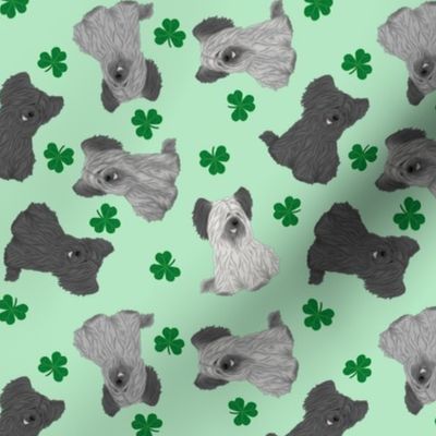 Tiny Skye Terriers - shamrocks