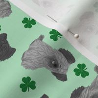 Tiny Skye Terriers - shamrocks