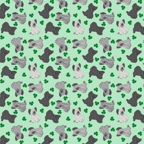 Tiny Skye Terriers - shamrocks