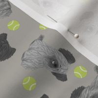 Tiny Skye Terriers - tennis balls