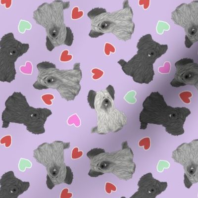 Tiny Skye Terriers - Valentine hearts