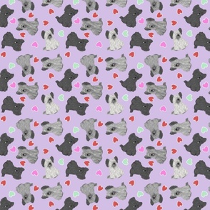 Tiny Skye Terriers - Valentine hearts