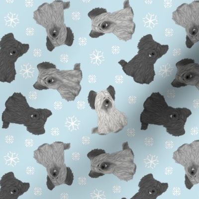 Tiny Skye Terriers - winter snowflakes