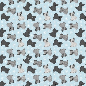 Tiny Skye Terriers - winter snowflakes