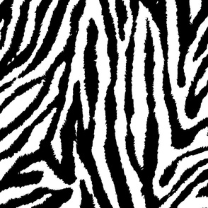 Fun Playful Zebra Stripes Print in Black and White (Large Scale)