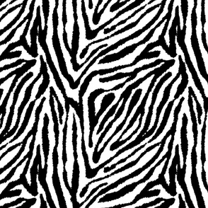 Fun Playful Zebra Stripes Print in Black and White (Medium Scale)