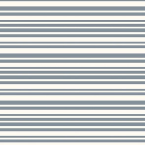 Sunkissed_Stripes for Days Dusty Blue Medium