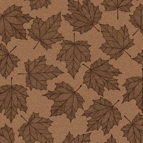 Fall Maple Leaves in Brown
