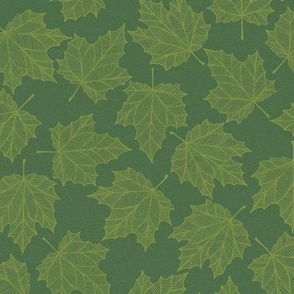 Spring Maple Leaves in Green