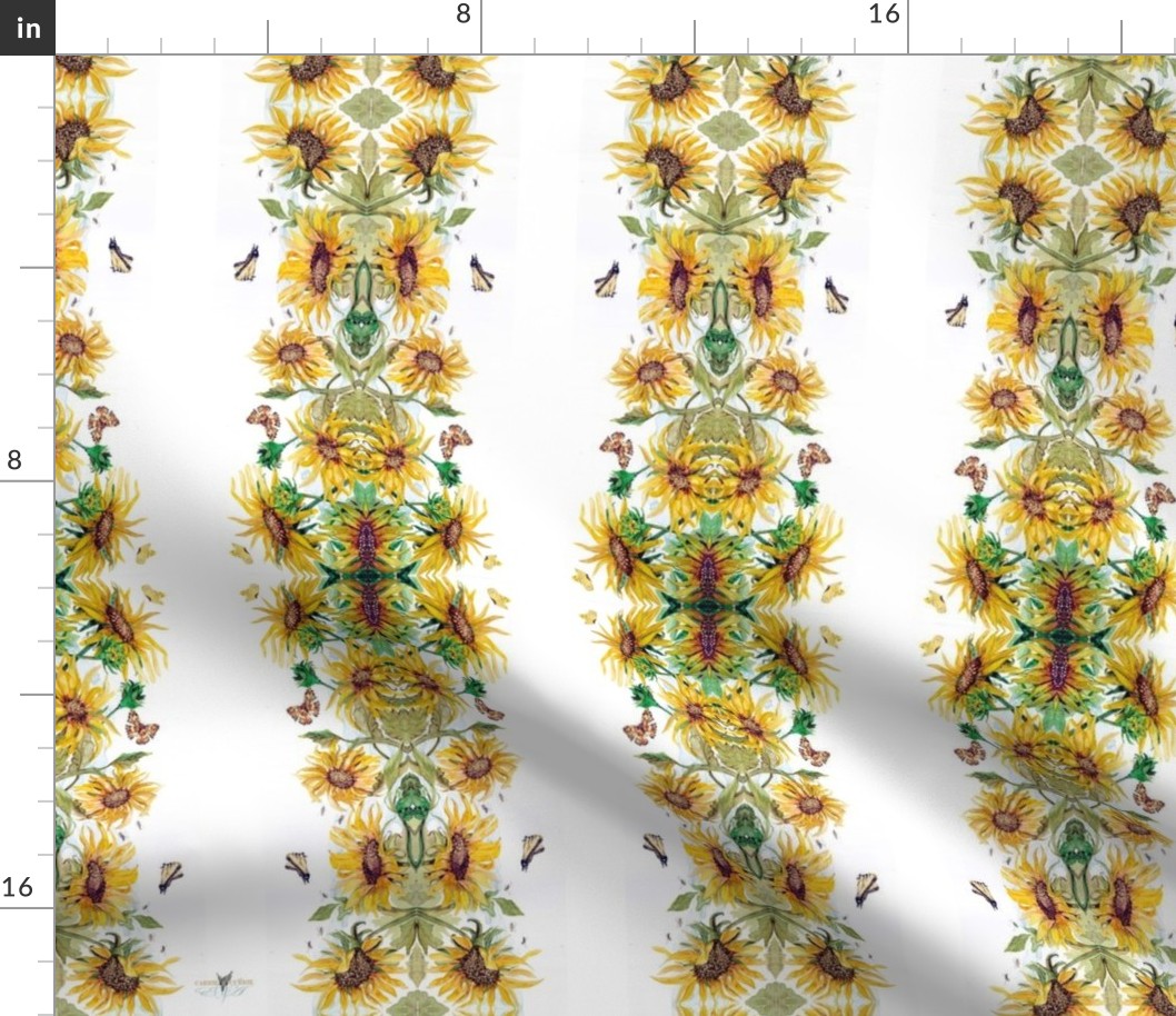 Sunflower Crop by carriecurrie