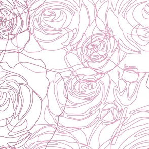 Roses_white background