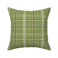 Forrest Plaid in Green