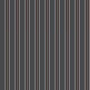 Stripe Blackout Curtain
