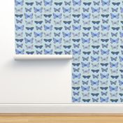 blue butterflies on blue