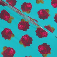 Roses on turquoise