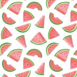 Watercolor Watermelons on White