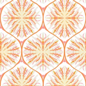 Ogee Bloom - Grapefruit