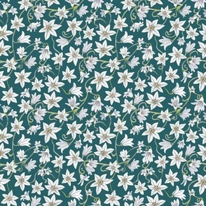 Star flower white hand drawn floral on teal