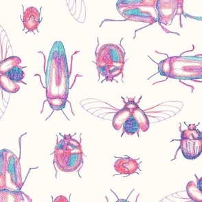 Colourful Crosshatched Beetles