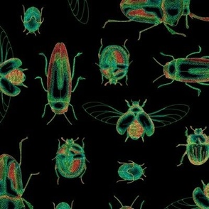 Psychedelic Beetles